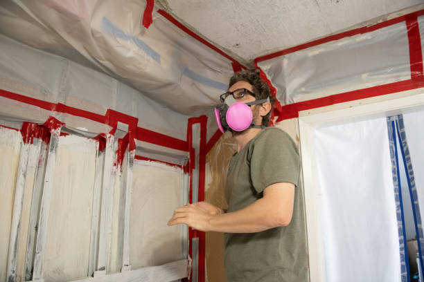 Environmental Consulting for Mold Prevention in Shrewsbury, MO